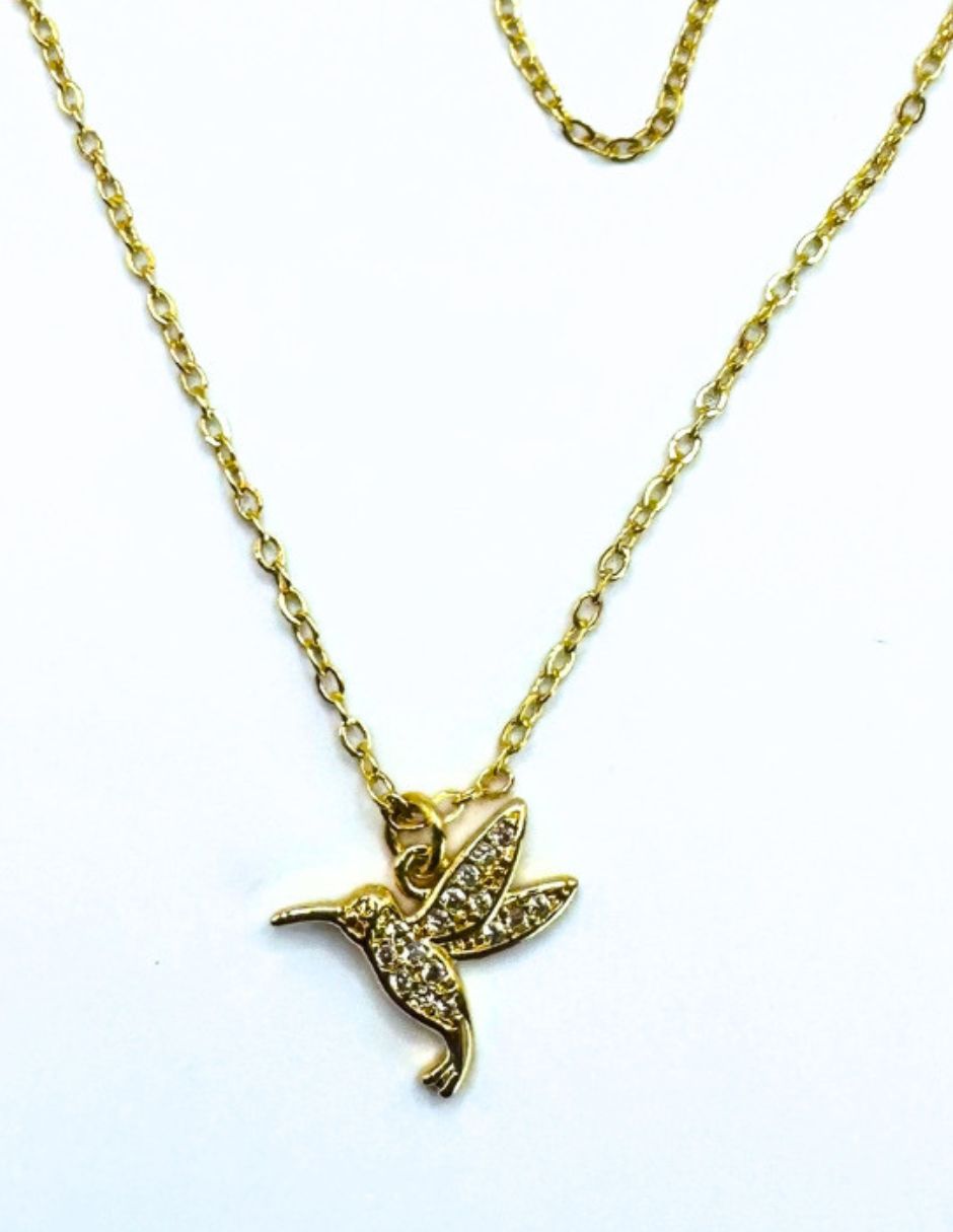 Collar de colibrí 2